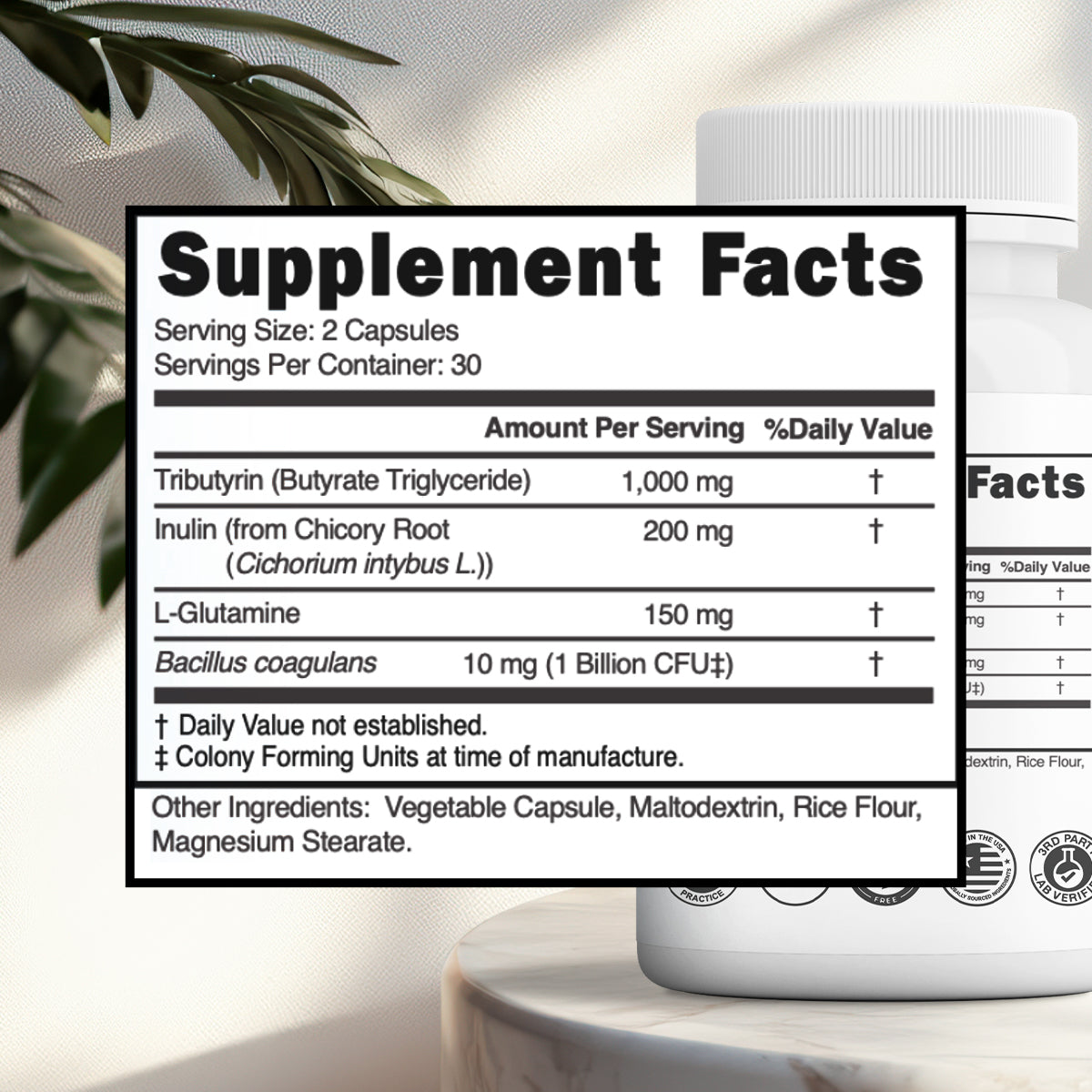 KIQ BioDigest (Postbiotic 1000mg)